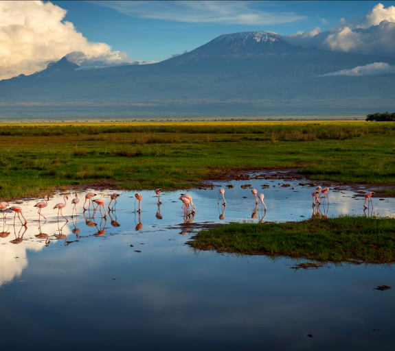 Biodiversity Q&A: Understanding A Powerful New Investment Theme | AXA ...